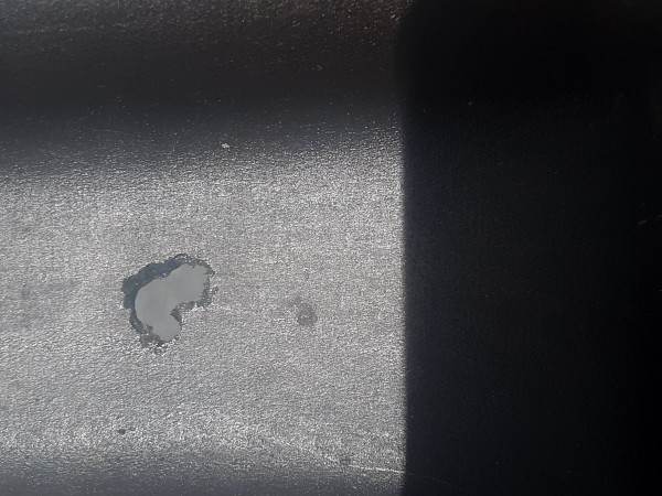 20190810_124937.jpg