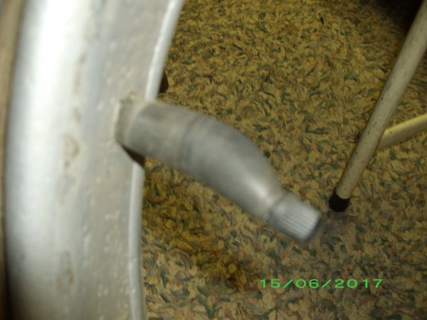 IMGP2676.JPG