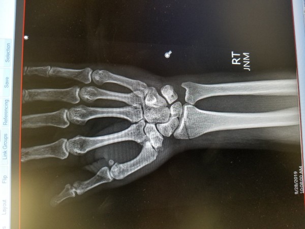 20190828_101059.jpg