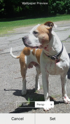 IMG_3580.PNG (658 KiB) Viewed 8962 times IMG_3580.PNG