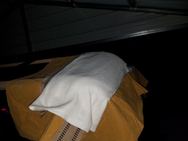 20190823_210231.jpg