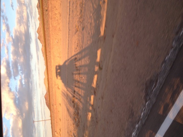 Late afternoon in the California Desert