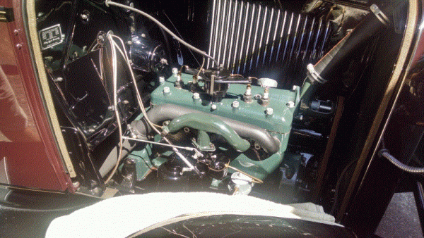 IMG_20190824_113128347_HDR (800x450).gif