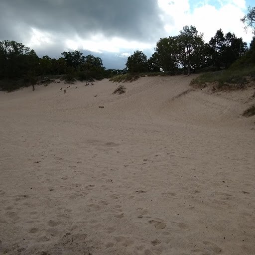 dune2.jpg