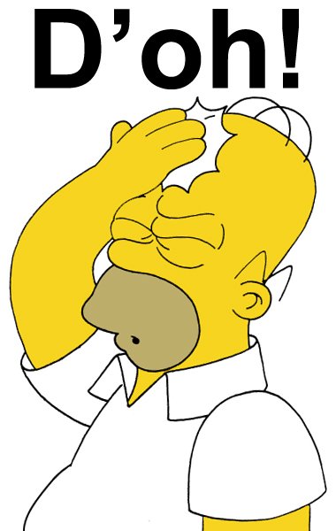 homer_doh.jpg