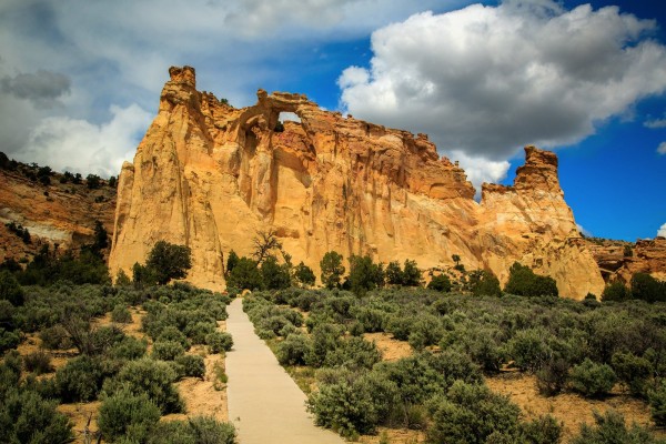 Grand Staircase - DS - Grosvenor Arch - KCOT-X3.jpg