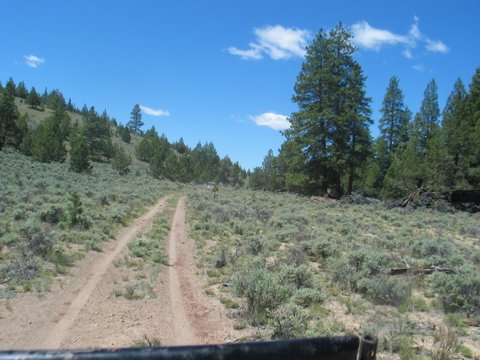 IMG_9703.JPG