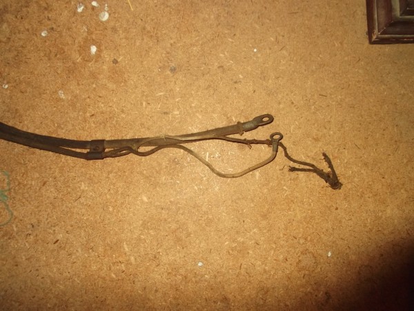 DSCF6500.JPG