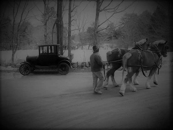 car and horses (3).jpg