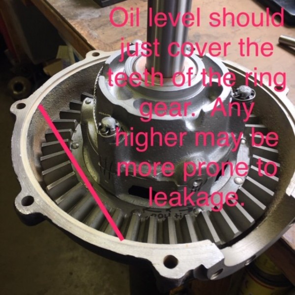 image1.jpeg
