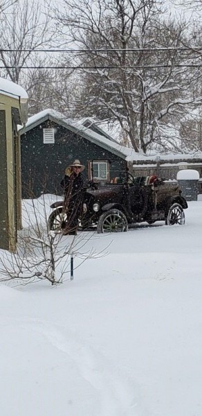 T in the snow 2 (800x389).jpg