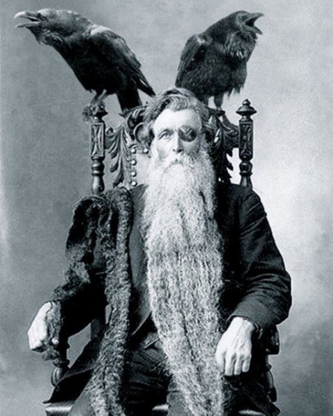 KDcrows.jpg