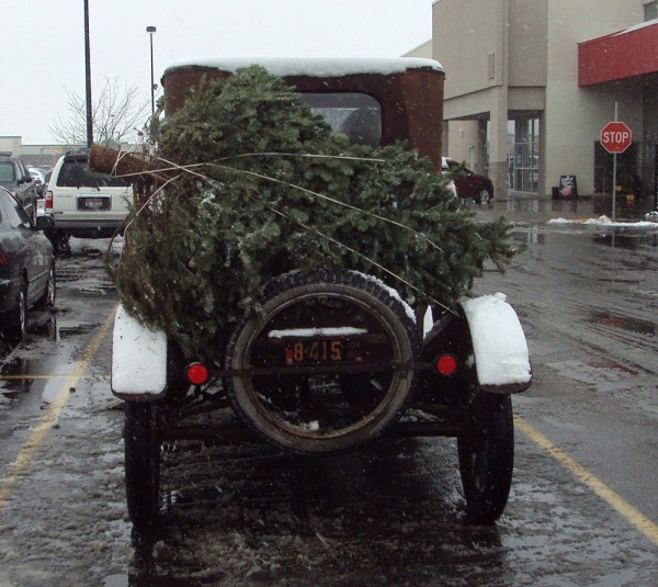 Treee2e.jpg