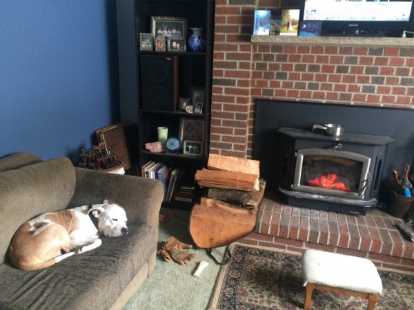 IMG_3612.JPG (532.43 KiB) Viewed 10631 times IMG_3612.JPG