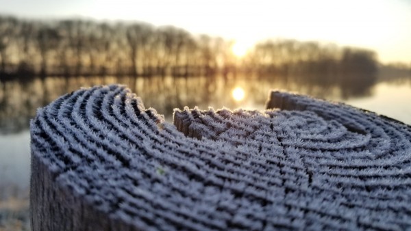 20191205_073847.jpg