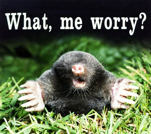Worry.jpg