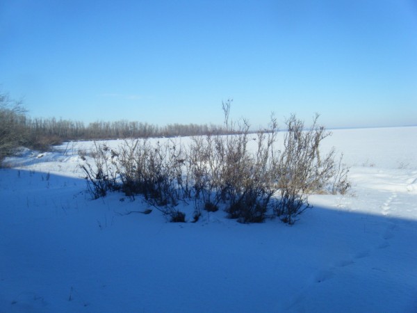 DSCF2148.JPG (204.08 KiB) Viewed 10547 times DSCF2148.JPG