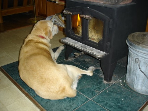 DSC01303.JPG (55.95 KiB) Viewed 10537 times DSC01303.JPG