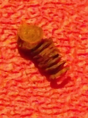 DSCF1468.JPG