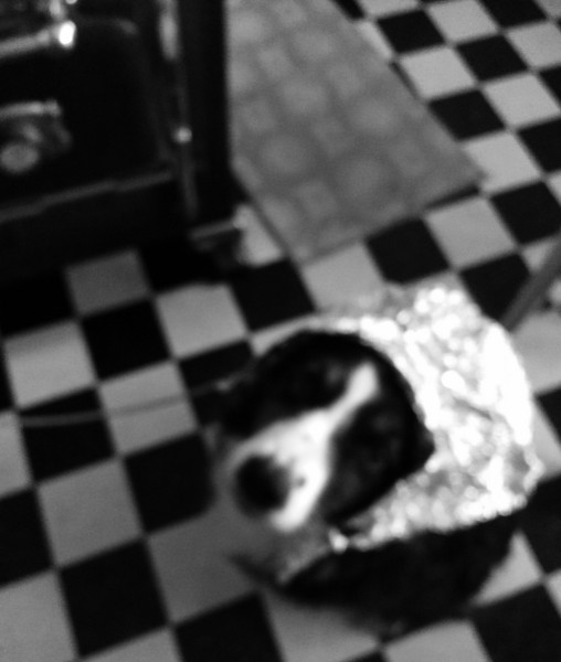 image.jpg