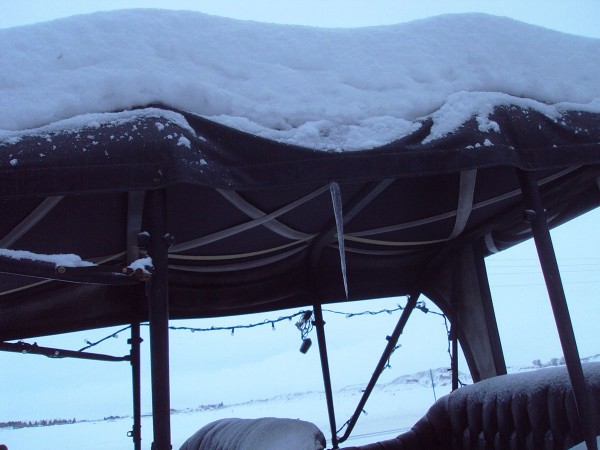 Sno676.jpg