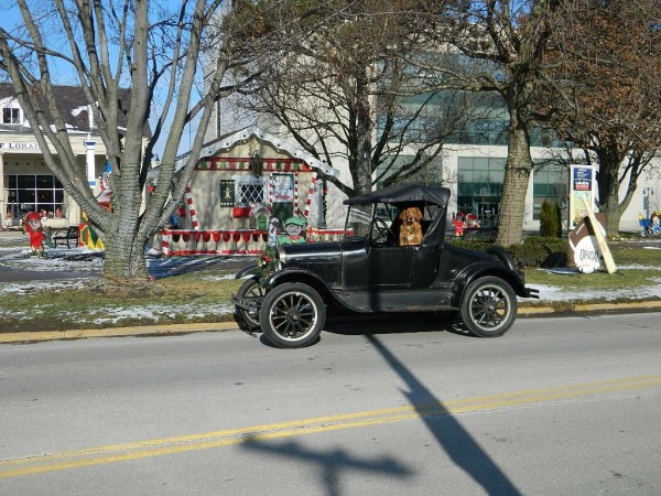 DSCN0738.JPG