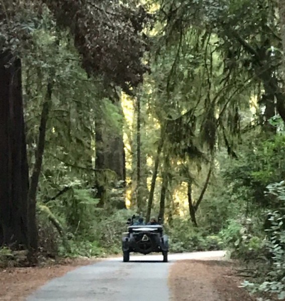 Road to the beach