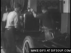 IMG_3504.GIF