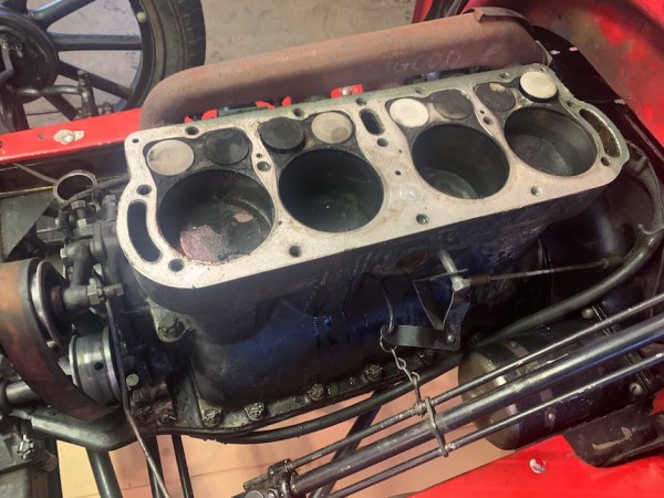 24T head off copy.jpeg