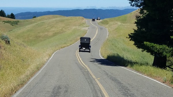 In Tamalpais State Park