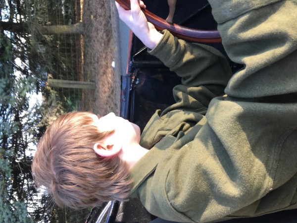 Carston wanted to drive
