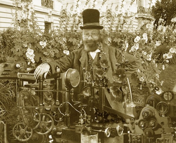 KDhollii.jpg