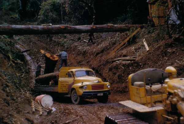 Reg168.jpg