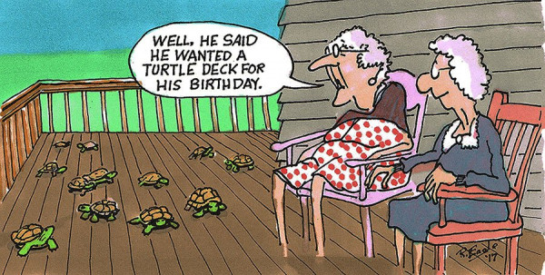 ATurtldkx.jpg