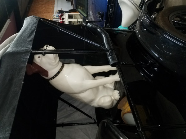 20190312_105832.jpg