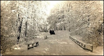 winter.jpg