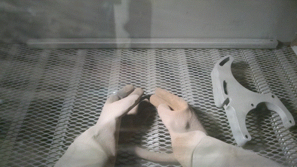 IMG_20200413_120443450 (800x450).gif