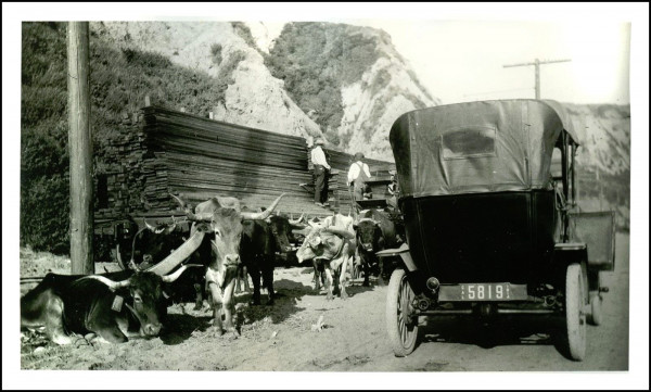 1913 Touring rear.jpg