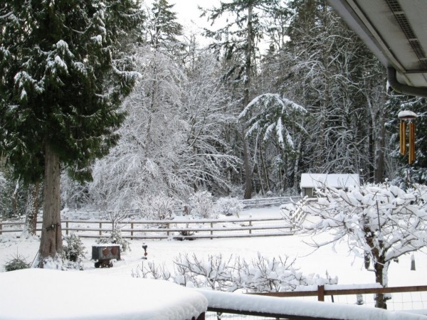snow.JPG