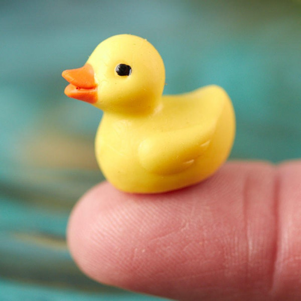 dollhouse_miniature_rubber_ducky.jpg (47.6 KiB) Viewed 8948 times dollhouse_miniature_rubber_ducky.jpg