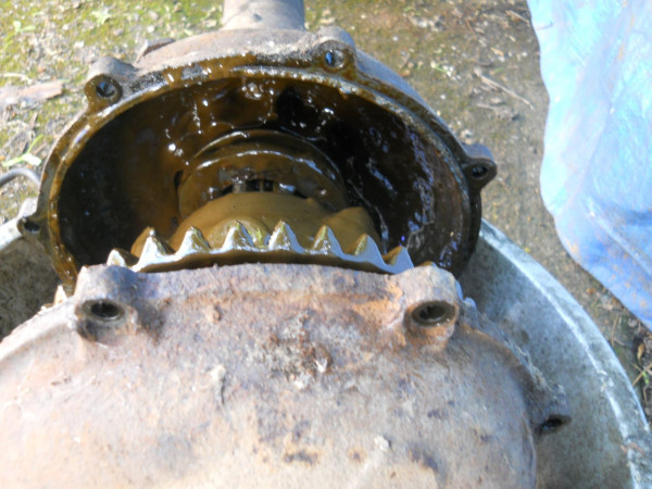 DSCN0275.JPG
