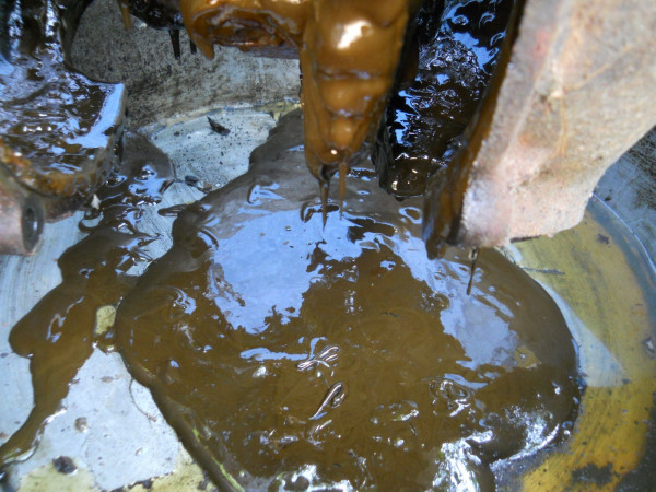 DSCN0276.JPG