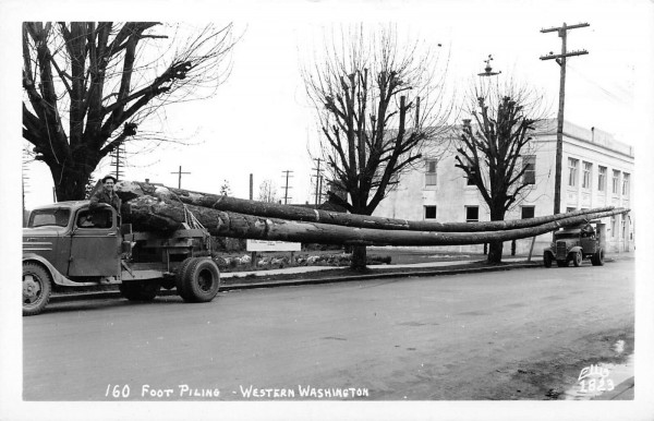 piling trucks.jpg