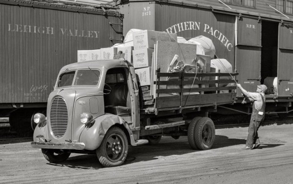 SHORPY-8c16935a1.preview.jpg