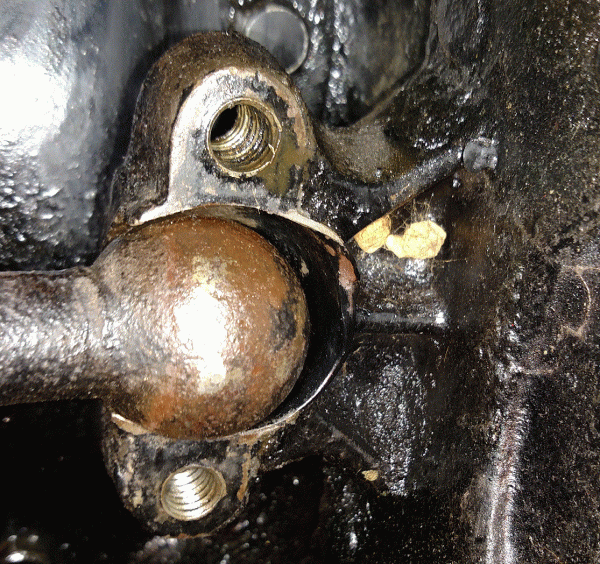 Wishbone socket-2.gif