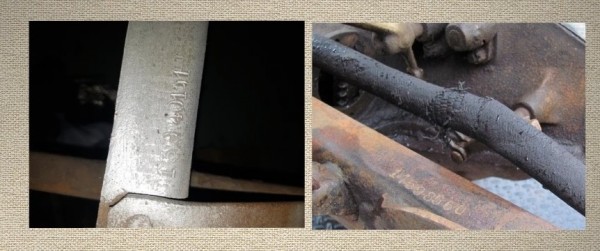 Collage8.jpg