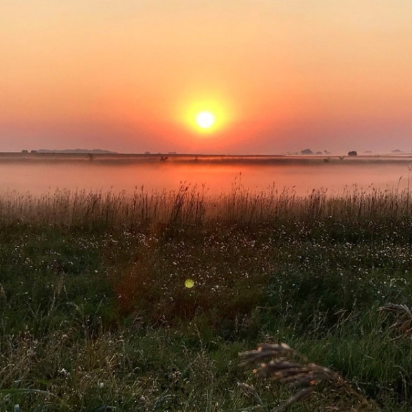 CA05EB36-60CB-4F27-8B39-FA7B315F3DE5.jpeg