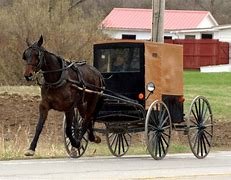 amish.jpg