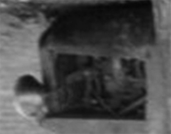 enlarged.jpg