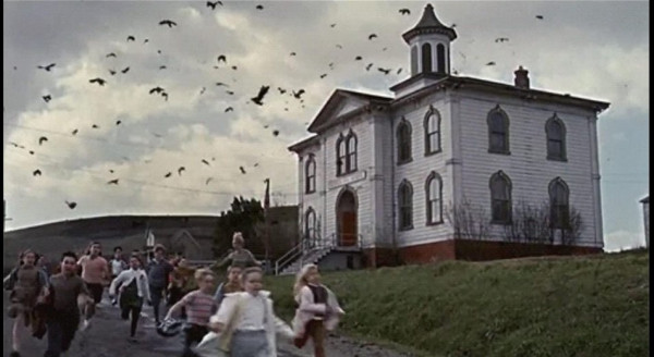 The BIRDS.jpg